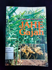 Image of Jahe Gajah
